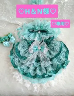H&N様 専用 犬服♡ハンドメイド♡のサムネイル