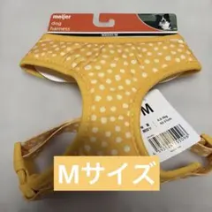 Item thumbnail for item 1ccae1af-9348-4758-9bbc-c60b59813e58