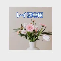 레이사마 전용