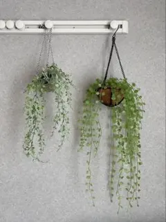 【ニトリ】人工観葉植物 フェイクグリーン 2点セット 送料込みのサムネイル