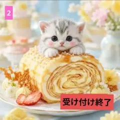 Httpi NONOKO のんこ ほっとぴー ラッフルくじ ののこ