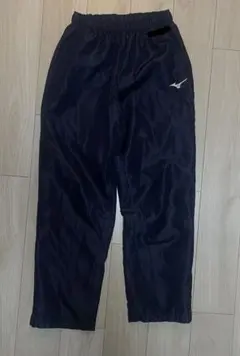 Item thumbnail for item 3cc5062c-1faa-49b2-8376-95029e15090b