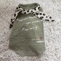 Item thumbnail for item a5cfa4b2-a941-4514-a22e-220b0bdd4c99