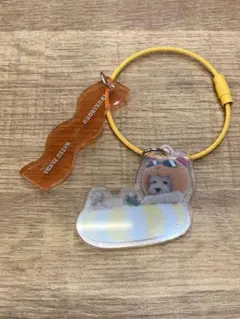 イオン　犬記録 meets ナツパンダ ワイヤーアクリルチャームのサムネイル