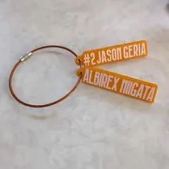 アルビレックス新潟　ジェイソンゲリア