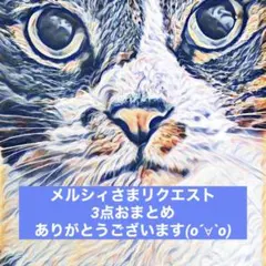 メルシィさま リクエスト 3点おまとめ