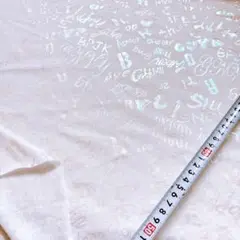 1枚限定 メッシュニット