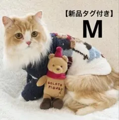 Item thumbnail for item dd065f28-6ecf-4603-a5e3-7e08ff885339