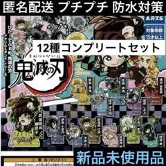 ぴたでふぉめ鬼滅の刃アクリルスタンドVol.5♦︎かまぼこ隊・柱コンプリートセット