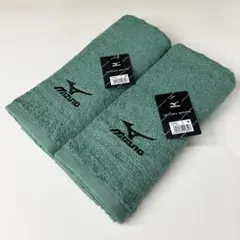 Item thumbnail for item 7540c00d-b45c-4369-a4bb-b787681bf836