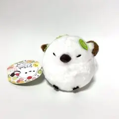 ふくふくシマちゃん カラフルフルーツ おシマキウイ アミュファンアソート