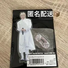 StrayKids スキズ フィリックス ランダムアクリルスタンド VR