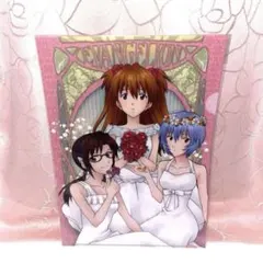 エヴァ 新劇場版 カレンダー2014年 渚カヲル 碇シンジ アスカ レイ