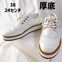 ウィングチップ 24