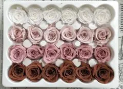 プリザーブドフラワー 花径2-2.5cm 24輪バラ ブラウン&モーブ