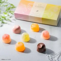 GODIVA ムースショコラ エ カカオフルーツジュレ 7個入のサムネイル