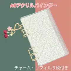 アクリルバインダー saving 貯金 バインダー 推し活 トレカ収納　家計簿