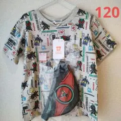 Item thumbnail for item 30c95565-2ebe-44d9-8c73-e0d21bec8a33