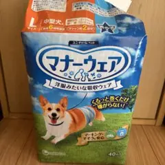 Item thumbnail for item 6164b7fc-591a-45b5-9207-207ed2f3637d