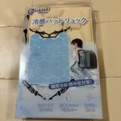 冷感パッド リュック用 熱中症対策 瞬間冷却 軽量　新品 1個　カラーカーキのサムネイル
