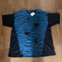 Item thumbnail for item 91ca0349-e556-42e8-84af-db0a89ab1ee3