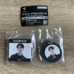 STVレコードマグネットチャーム　ディノ