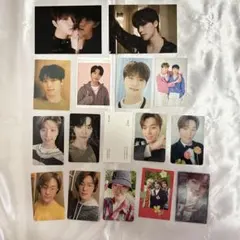 ディノ トレカ セット セブチカフェ 特典 レア sector17 DVD