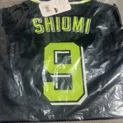 Item thumbnail for item 290566bf-d3d8-4e64-9460-95ea93e25057