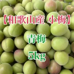 和歌山産　小梅　青梅　5kg　傷なし　送料込みのサムネイル