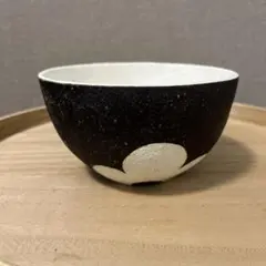 手作植木鉢 グラデーション植木鉢（ 塊根植物 グラキリス パキプス