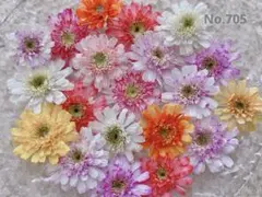 マトリカリア　ドライフラワー　小花　No.705