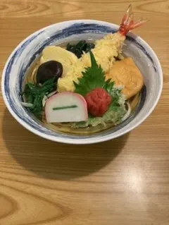食品サンプル 実物大　色々乗せ　うどん