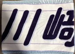 Item thumbnail for item ec8c1a6e-c369-4bbe-bbed-e74329a23df9