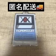 HUNTER×HUNTER PIICA＋クリアパスケース　ハンターライセンスのサムネイル