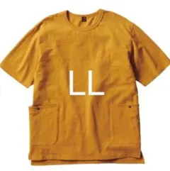 DIAGUARD ワークマン Tシャツ アウトドア防虫加工　ディアガード