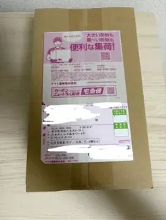 ポケセン産 ダンボール未開封・シュリンク付】メガドリームex 1BOX