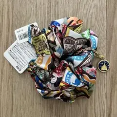 【新品未使用】TDR 実写 シュシュ イマジニングザマジック