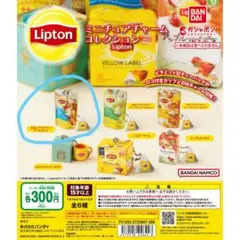 リプトン ミニチュアチャームコレクション 水出しアイスティーアールグレイ