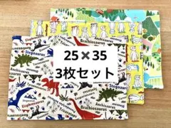 ランチクロス 3枚セット 恐竜 おさるのジョージ　25×35 リバーシブルのサムネイル