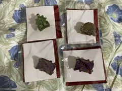 鬼滅の刃 ランダムピンズ 実弥 玄弥 行冥