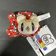 ジェ猫　GENERATIONS　 シュシュ　白濱亜嵐