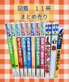 小学館の図鑑　ＮＥＯ　フレーベル館　図鑑　まとめ売り　NATURA　子供　学習