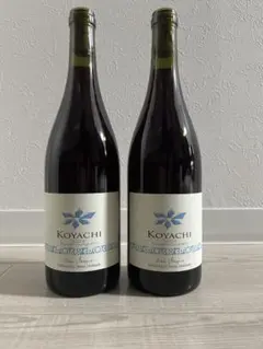 ラン セッカ KOYACHI コヤチ パストゥグラン 2023 & 2024 - メルカリ