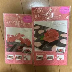 ★新品★きむアルバム ポップアップ 2種セット
