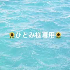 ひとみ様専用
