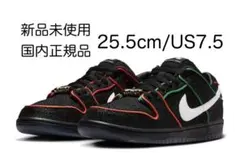 Bronx Girls Skate × Nike SB Dunk Low Pro