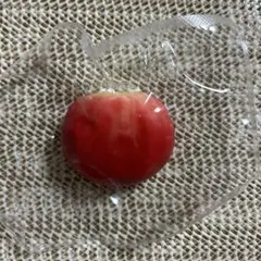 kikisquishy もち米泥 りんご Sサイズ キキ スクイーズのサムネイル