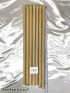 2026年最新】女竹の人気アイテム - メルカリ