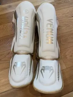 Item thumbnail for item c1242f14-93da-4141-8721-ac52a2850bf1