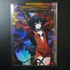 ロードオブヴァーミリオン　水着プレイヤーカード　未開封　lov ロードオブヴァーミリオン 水着プレイヤーカード 未開封 lov